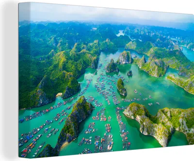 Obrázok produktu pre OneMillionCanvasses® - Výtlačky na plátne - 140x90 cm, Cat ba, nástenná umelecká dekorácia