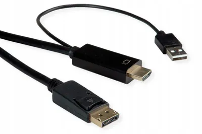Produktbild von ROLINE Kabel UHDTV DisplayPort M/M Schwarz 1m