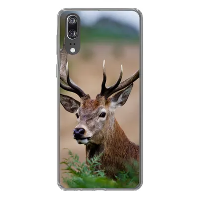Produktbild von MuchoWow® Handyhülle Schutzhülle Hülle für Huawei P20 Hirsche - Farne - Natur Silikon Softcase Handy Hülle - Hardcover