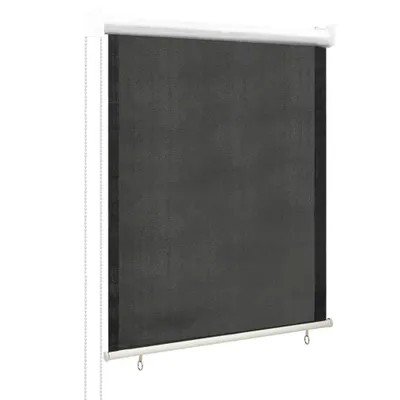Image de Store extérieur The Living Store 60 x 140 cm, anthracite