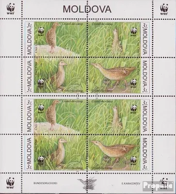 Produktbild von Briefmarken Moldawien 2001 Mi 379-382 Kleinbogen (kompl.Ausg.) postfrisch Wachtelkönig