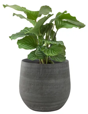 Produktbild von Ter Steege Pflanzentopf - Keramik - grau - 36 x 32 cm