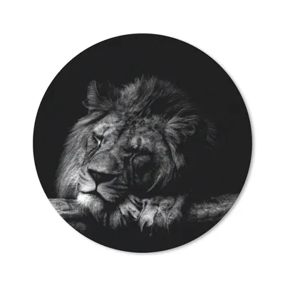 Produktbild von MuchoWow® Mauspad Mousepad Löwe - Baum - Schwarz - Weiß 50x50 cm - Mousepads - Maus Mat - Pad - Mausunterlage - Vinyl