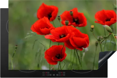 Produktbild von KitchenYeah© Herdabdeckplatte Blumen - Mohn - Rot , 81x52cm, Küche Deko, Glaskeramikkochfeld Herdabdeckung, Abdeckplatte fùr Kochfeld