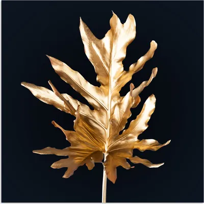 Produktbild von MuchoWow® Poster Blätter - Gold - Herbst - Natur - Luxus 100x100 cm - Babyzimmer