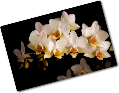 Produktbild von Tulup Glas Herdabdeckplatte - 80x52 cm - Glaskeramikkochfeld-Abdeckung Spritzschutz Glasabdeckplatte - Einteilig - Blumen & Pflanzen - Orchidee - Weiß