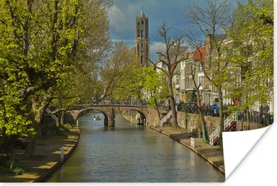 Produktbild von MuchoWow® Poster Pflanzen - Utrecht - Wasser 120x80 cm - Bilder