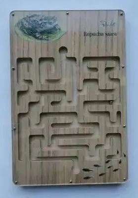 Image de Le labyrinthe naturel de la grenouille léopard