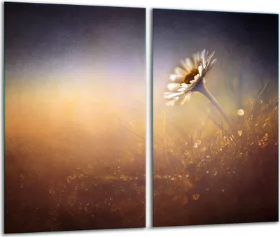 Produktbild von Herdabdeckplatten 2 teilig 30x52 Glaskeramikfeld Abdeckung Glas Blume