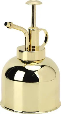 Image de Vaporisateur à main en acier inoxydable pour l'arrosage des plantes et des pots de fleurs, pulvérisateur de jardin
