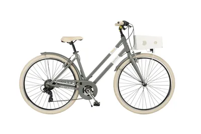Produktbild von Cruiser 28 Zoll MILANO Lady grau