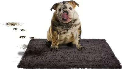 Produktbild von Duvoplus Haustiermatte MagicClean 90×65 cm Dunkelgrau