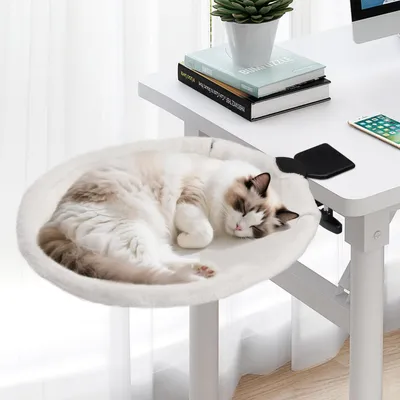 Immagine prodotto di Cuccia per gatti, scrivania girevole a 360° e regolabile in altezza, color beige