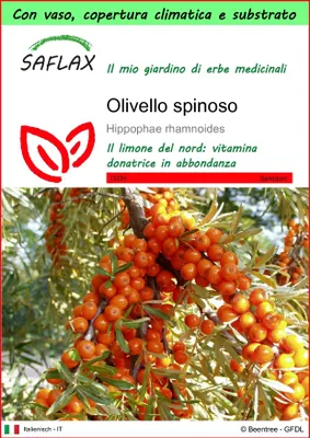 Immagine prodotto di SAFLAX Garden to go - Olivello spinoso - 40 semi - Hippophae