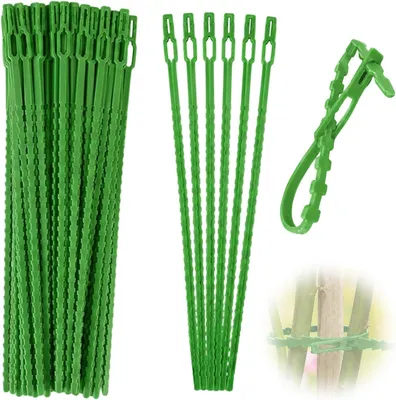 Image de Attaches en plastique pour plantes, 22 cm, 100 pièces, résistants aux intempéries, pour fixer les plantes