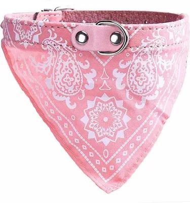 Immagine prodotto di Collare per cani con fazzoletto da collo Rosa M