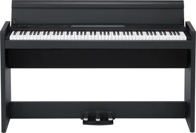 Image de Korg LP-380U BK
