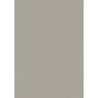 Produktbild von Erismann | Imitations | 593802 | Vliestapete | Einfarbig | Uni | 0.53 x 10.05 m | Beige | Wohnzimmer | Flur | Büro | Küche | Wohnräume