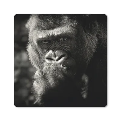 Produktbild von MuchoWow® Mauspad Mousepad Tierprofil Gorilla in schwarz und weiß 20x20 cm - Mousepads - Maus Mat - Pad - Mausunterlage - Desk Mat - Bureauartikeln