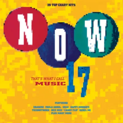 Obrázek produktu pro Various: Now That's What I Call Music 17