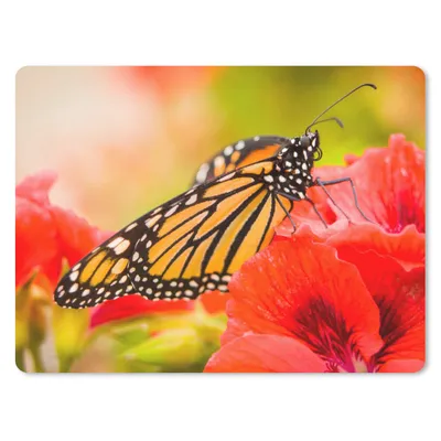 Produktbild von MuchoWow® Mauspad Mousepad Blumen - Schmetterlinge - Monarch 23x19 cm - Mousepads - Maus Mat - Pad - Mausunterlage - Schreibtischunterlage - Mauspad