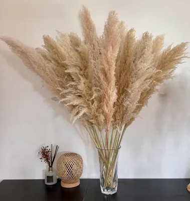 Productafbeelding van Elzusha - Grote Pluizige Pampasgras Decoratie 100 cm - 15 Stuks
