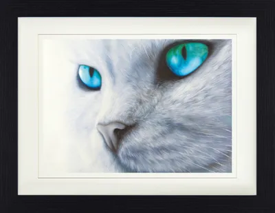 Zdjęcie produktu dla Koty Oprawiony Obraz Z Eleganckim Passepartout | Sztuka Ścienna | W Ramie Obrazu - Błyszczące Oczy (30 x 40 cm)