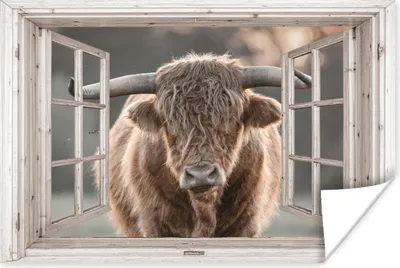 Produktbild von MuchoWow® Poster Schottischer Highlander - Tier - Ansicht 180x120 cm - Fotoplakat