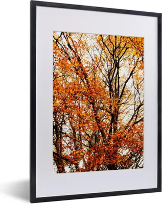 Produktbild von MuchoWow® Gerahmtes Poster Wald - Herbst - Jahreszeiten 30x40 cm - Poster mit Schwarzem Bilderrahmen Wandposter Rahmen Foto Bilder - Wandposter Schlafzimmer