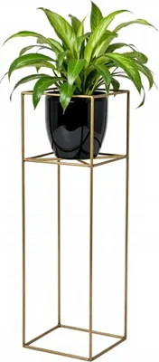 Produktbild von FRAMADO, Pflanzenständer Filo, Metallregal, Blumenständer, 24x24x80cm, Gold
