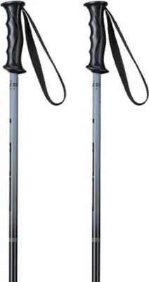 Produktbild von Elan Rockrod Junior Stöcke Silber 90 cm Jungen,Mädchen Silber 90 cm