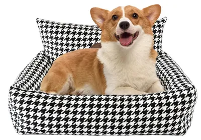 Productafbeelding van Orthopedisch hondenbed voor kleine en middelgrote honden