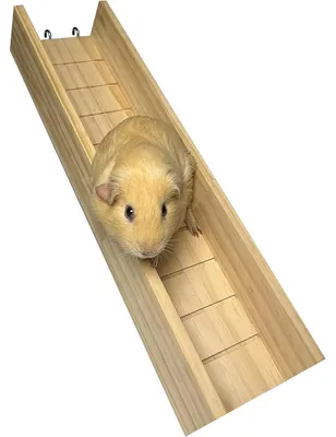 Produktbild von Meerschweinchen Kletterrampe aus Holz – Spielzeugleiter für Hamster, Kleintierzubehör, Brücke für Ratten, Chinchillas & Eichhörnchen, 60×12,5×7 cm