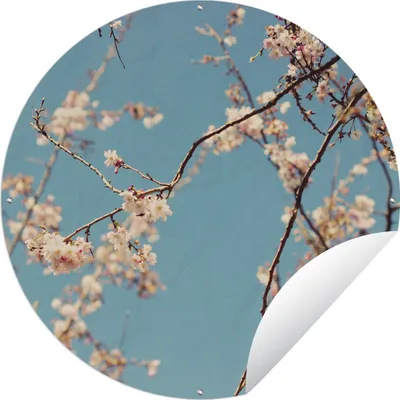 Produktbild von MuchoWow® Gartenposter Outdoor-Poster Rund Blüte Ø 90 cm Gartendeko Rundes Poster draußen