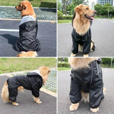 Immagine prodotto di Giacca impermeabile con cappuccio per cani - Poncho impermeabile per cani (blu)