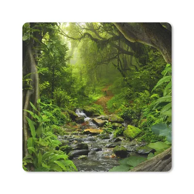 Produktbild von MuchoWow® Mauspad Mousepad Natur - Wasser - Dschungel - Wald - Tropisch 20x20 cm - Mousepads - Maus Mat - Pad - Mausunterlage - Desk Mat - Bureauartikeln