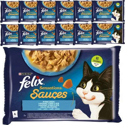 Produktbild von Felix Sensations Ryba w Sosie dla Kota 4 x 85 g