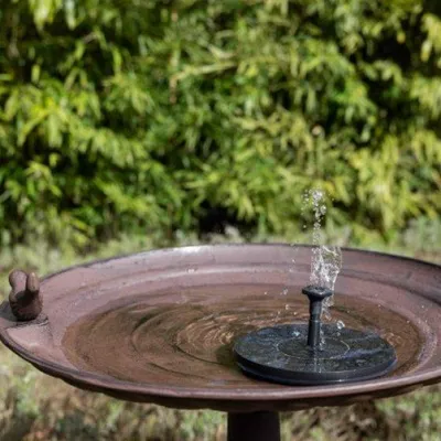 Image de Fontaine solaire pour bain d'oiseau