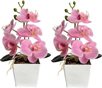 Produktbild von Famanu Set von 2 Kunstorchideen in Vase 25 cm - Rosa Kunstblumen