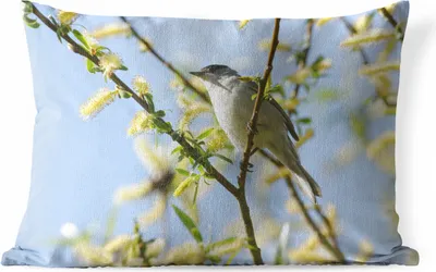 Produktbild von MuchoWow® Outdoor Kissen - Vogel im Baum - 50x30 cm - Wetterfest - Lounge Kissen - Sofa kissen - Wohnzimmer Dekoration