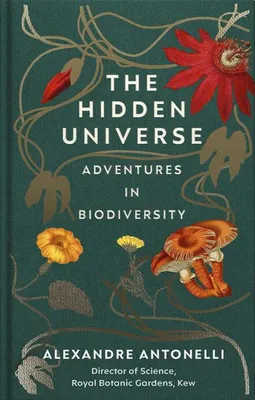 Produktbild von The Hidden Universe