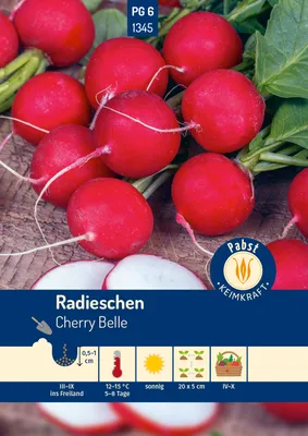 Produktbild von Pabst Keimkraft - Radieschen raschwüchsig & mild Cherry Belle Samen - 171345