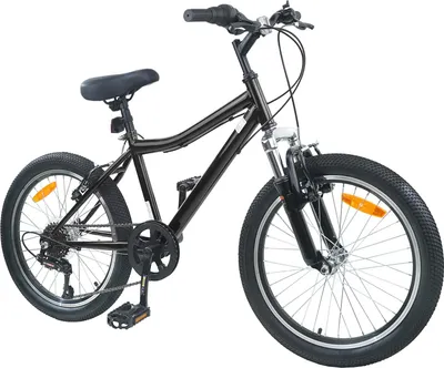 Image de vidaXL Vélo pour enfants 20 pouces 6-Speed pour 6-11 ans noir