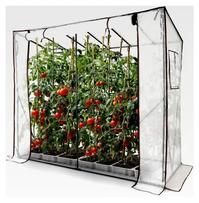 Produktbild von Tomatengewächshaus Foliengewächshaus mit 2 Belüftungsfenstern | Gewächshaus groß | Tomatenhaus, Treibhaus mit aufrollbarer Tür | 200x77x170 cm Frühbeet, Gemüse, Blumen, Obst | Gewächshausfolie
