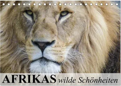 Produktbild von Afrikas wilde Schönheiten (Tischkalender 2026 DIN A5 quer), CALVENDO Monatskalender