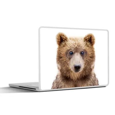 Produktbild von MuchoWow® Laptop Aufkleber Sticker Cover Bär - Braun - Tiere - Natur 40x30 cm - Laptop Dekoration - Selbstklebend