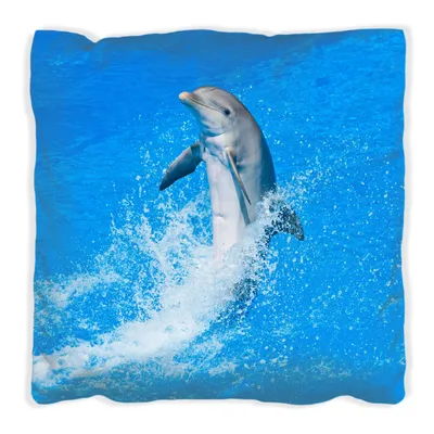 Produktbild von Wallario Premium Kissen, weiche Oberfläche, mit Motiv Fröhlicher Delfin im blauen Wasser, Größe: 30 x 30 cm, mit weißer Rückseite
