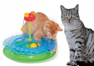 Produktbild von Petstages Kocia Gonitwa Interaktive Spielbahn für Katzen