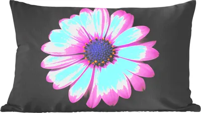 Produktbild von MuchoWow® Zierkissen Sofakissen Wohnzimmer Dekokissen 60x40 cm Gänseblümchen - Blume - Rosa - Kopfkissen - Polster mit Foto