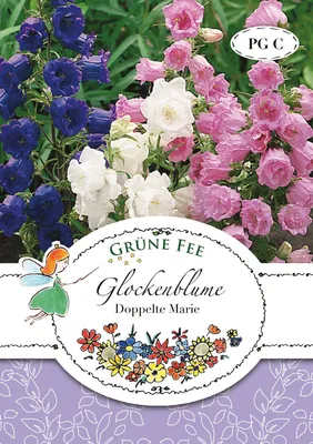 Artikelbild 1 von 'Glockenblume Doppelte Marie' aus der Kategorie Glockenblumensamen